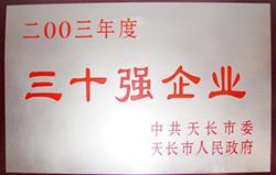 三十强企业